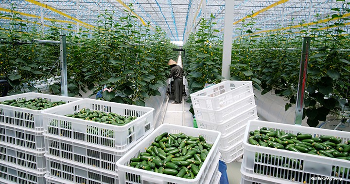 WorldlyHQ's tweet photo. If you love modern farming in greenhouse,like and retweet. https://t.co/Z5o2rnkNKf