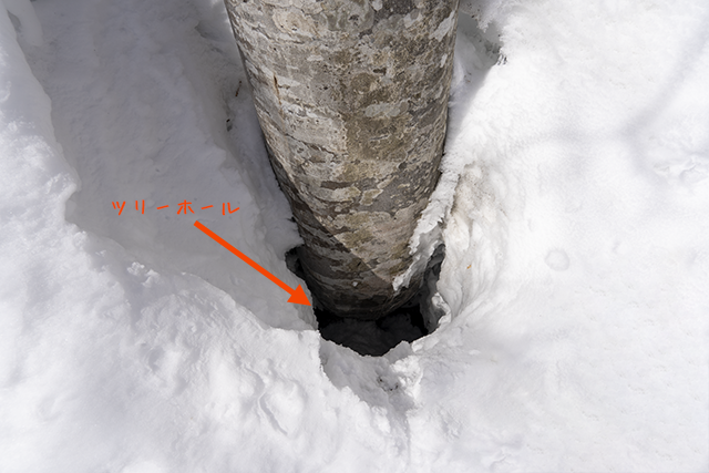 尾瀬マウンテンガイド 春山登山の注意点 雪崩以外にも 雪庇や沢 ツリーホールなどちょっとした危険が山にはたくさん 今日のしっかりとした雨で割れ目や穴が大きくなりそうです 写真は一昨日の会津駒で撮ったものです T Co Pzpcwi8sh8