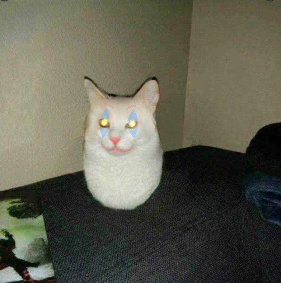 IM LOOSING IT LOOK WHAT @al_faille MADE OF MY SPOONSONA #fnaf #clowncat