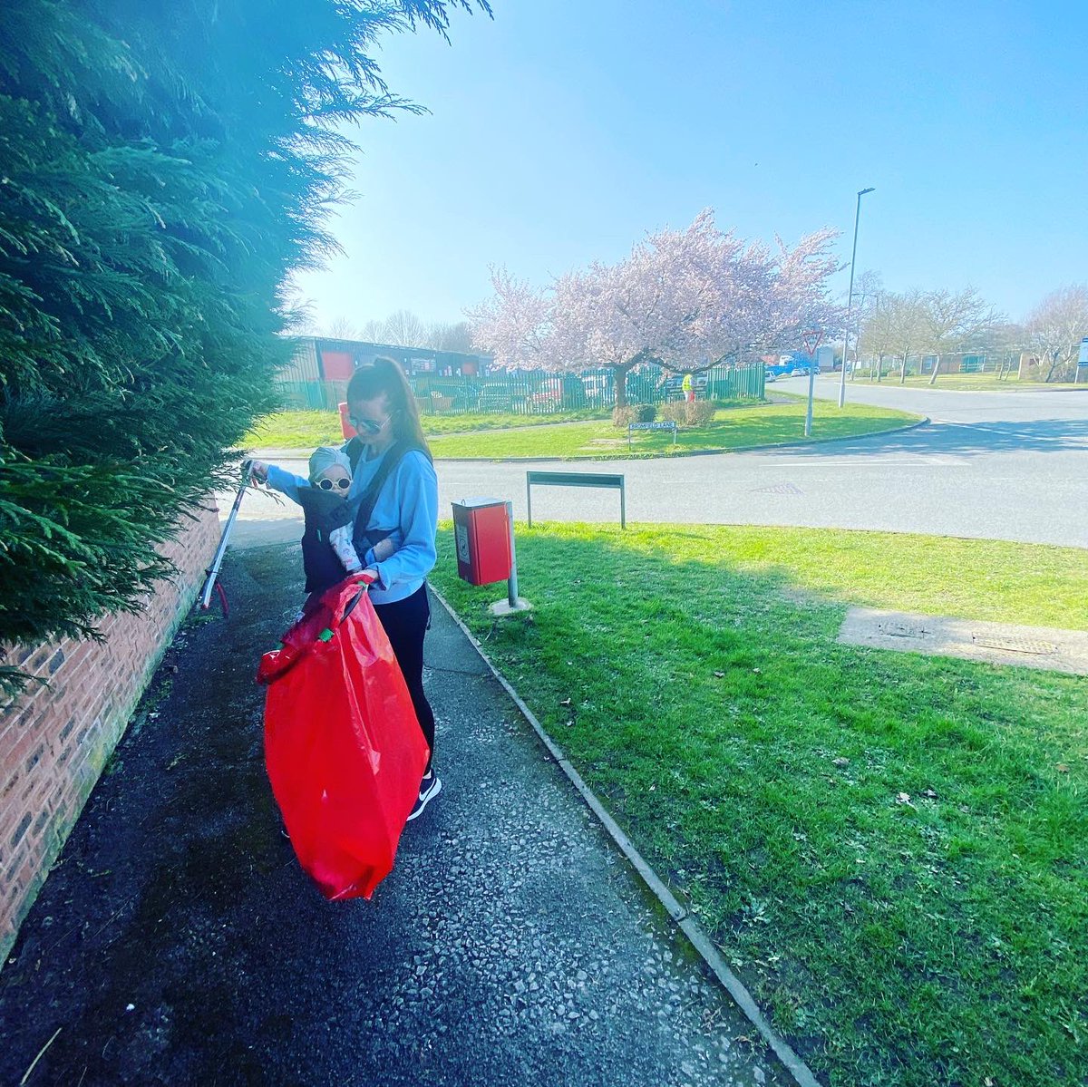 Sandra Donoghue tweet media