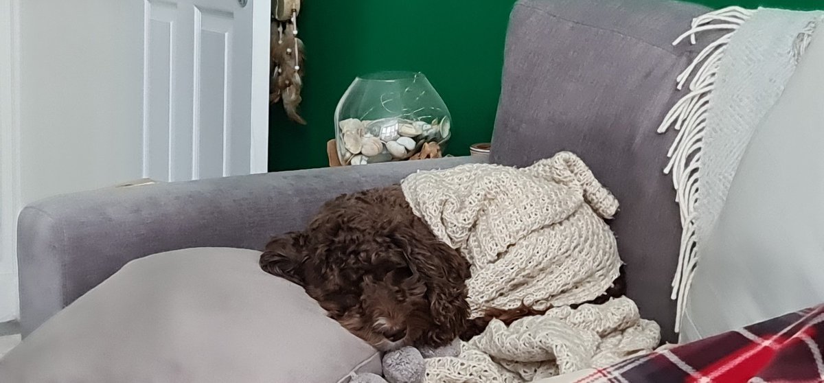 Maybe I'll bark and scratch at her while she's having a nap. See how she likes it.