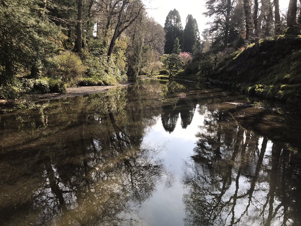 Free entry to the National Trust's Bodnant Garden. Just present your national lottery scratch card or ticket and start exploring the garden.

(Valid until 27th March)

#bodnantgarden #garden #nature #NationalLottery #NorthWales #weekend #weekendsunshine #weekendideas