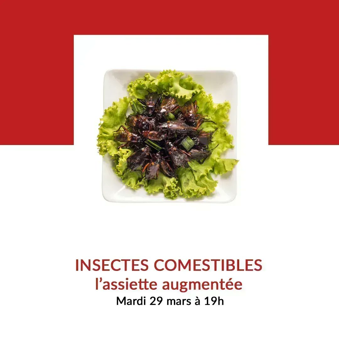 citedessciences's tweet photo. #InsecteComestible
Il n'y en aura pas ce week-end dans le #FestivalBotanica mais rdv le mardi 29 mars pour une rencontre avec Patrick Borel, chercheur en nutrition humaine !
@INRAE_France @Inserm @univamu #ExpoBanquet
À l'Auditorium et en direct 👉 https://t.co/zw2bk260Lw https://t.co/MH6MPuJphJ
