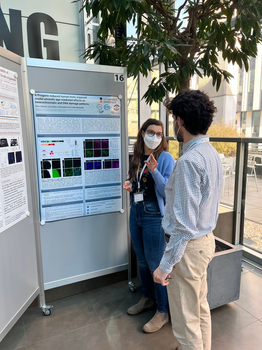 Elisa Gabassi tweet media