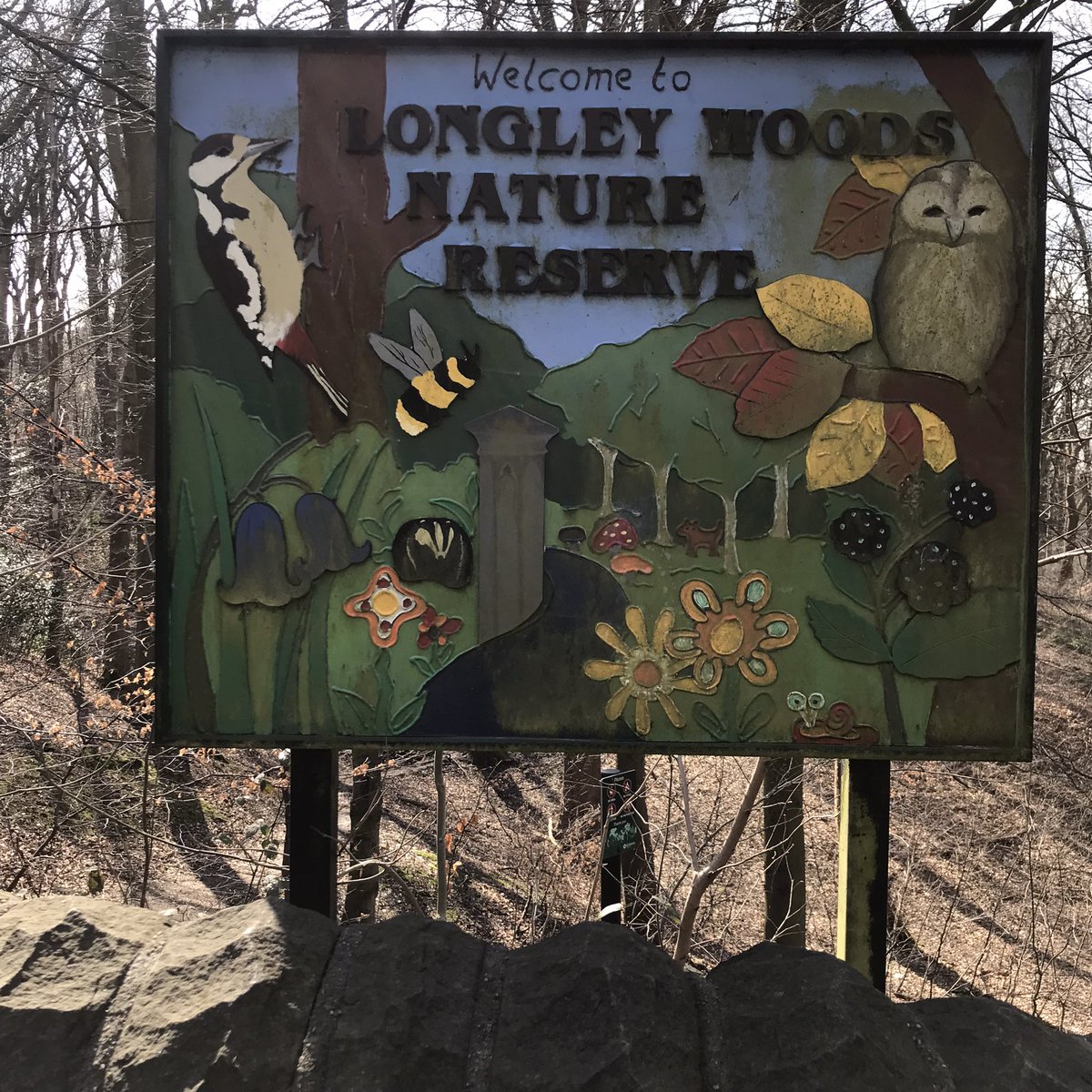 samantha mcmahon tweet media