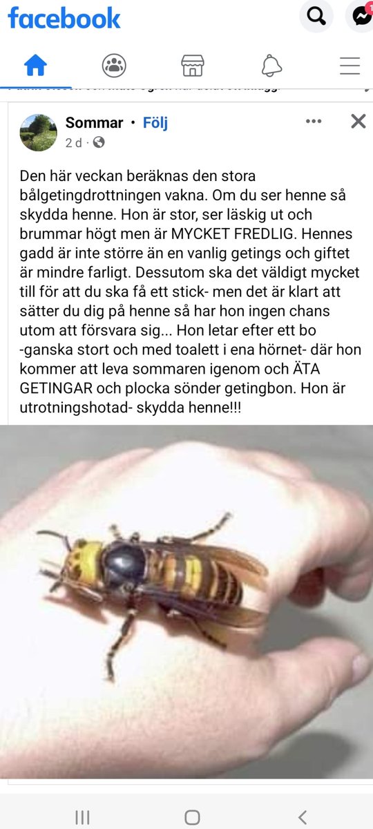 JoakimAngle's tweet image. Viktigt!