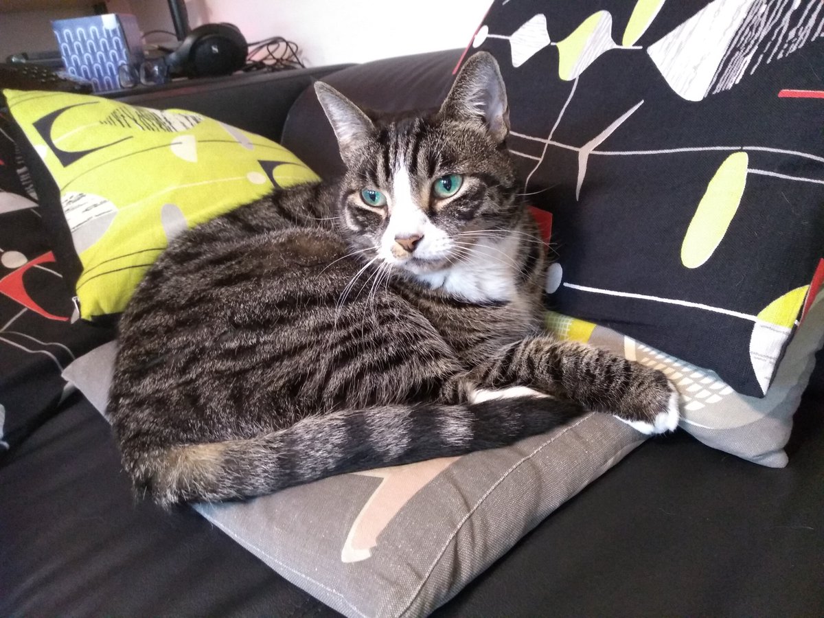 Andrew Cartmel tweet media