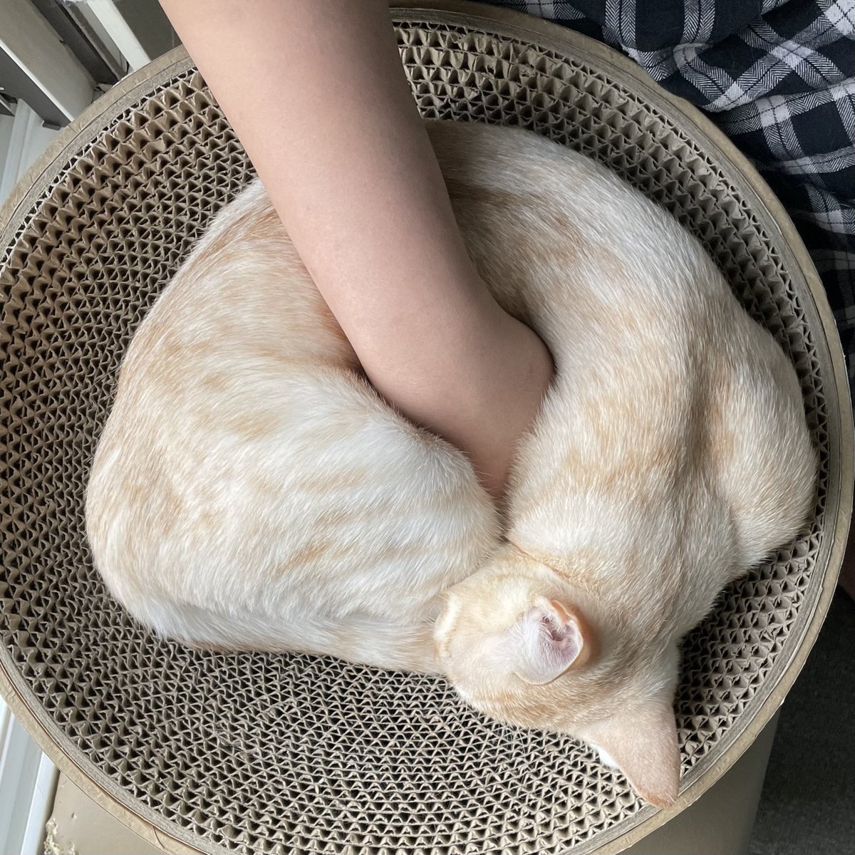 따뜻하고 말랑해