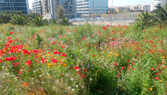 jm_mallarach's tweet photo. A l'inici de primavera, quan moltes espècies surten del repòs hivernal, quan tot floreix i es torna +dinàmic, quan tornem a trobar fauna salvatge atropellada, és hora de recordar la problemàtica de la fragmentació ecològica, per posar-hi remei. Obro fil de síntesi per Catalunya👇 https://t.co/h04qFCaoIY
