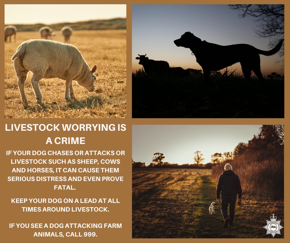 FOx-mm3XIAE_1xI.jpg:large