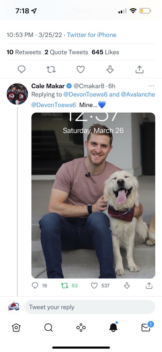 Avalanche's tweet photo. Our d partners are better than your d partners. 

#GoAvsGo https://t.co/iDN7B6UkEL