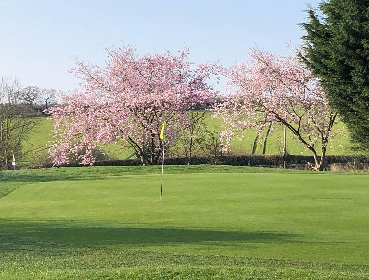 Hawarden Golf Club (HawardenGC) / Twitter