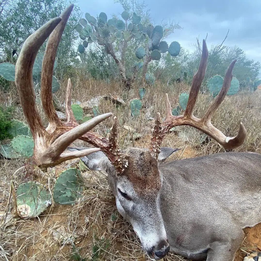 RT if you love hunting