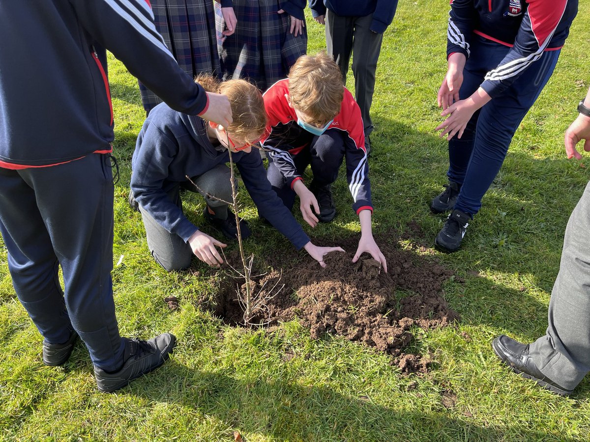ErinMcGreehan's tweet photo. I had such a lovely morning on Tuesday last with the students of Ardee Community School giving them 30 native Irish trees as part of my initiative MΓ¬le Crainn Na hΓireann #milecrainnnaheireann @ArdeeSchool #nativeirishtrees #treeweek2022 https://t.co/aLLjUfHD8F