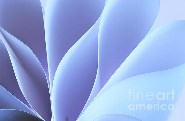 Hard Knocks Creations tweet media