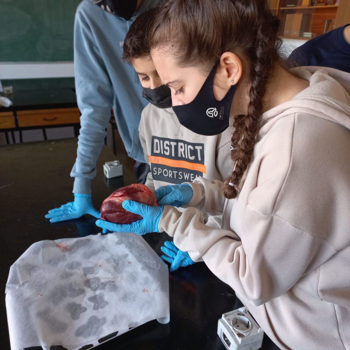 Mercedvitoria's tweet photo. El alumnado de Biología-Geología de 3° de ESO, después de trabajar el aparato excretor y respiratorio, han prácticado con corazones, pulmones y riñones de un cerdo.
#mercedariasgasteiz 
#caminandocontigosumamosmerced
https://t.co/cyJIQTXMPY https://t.co/ITmm5id3mm