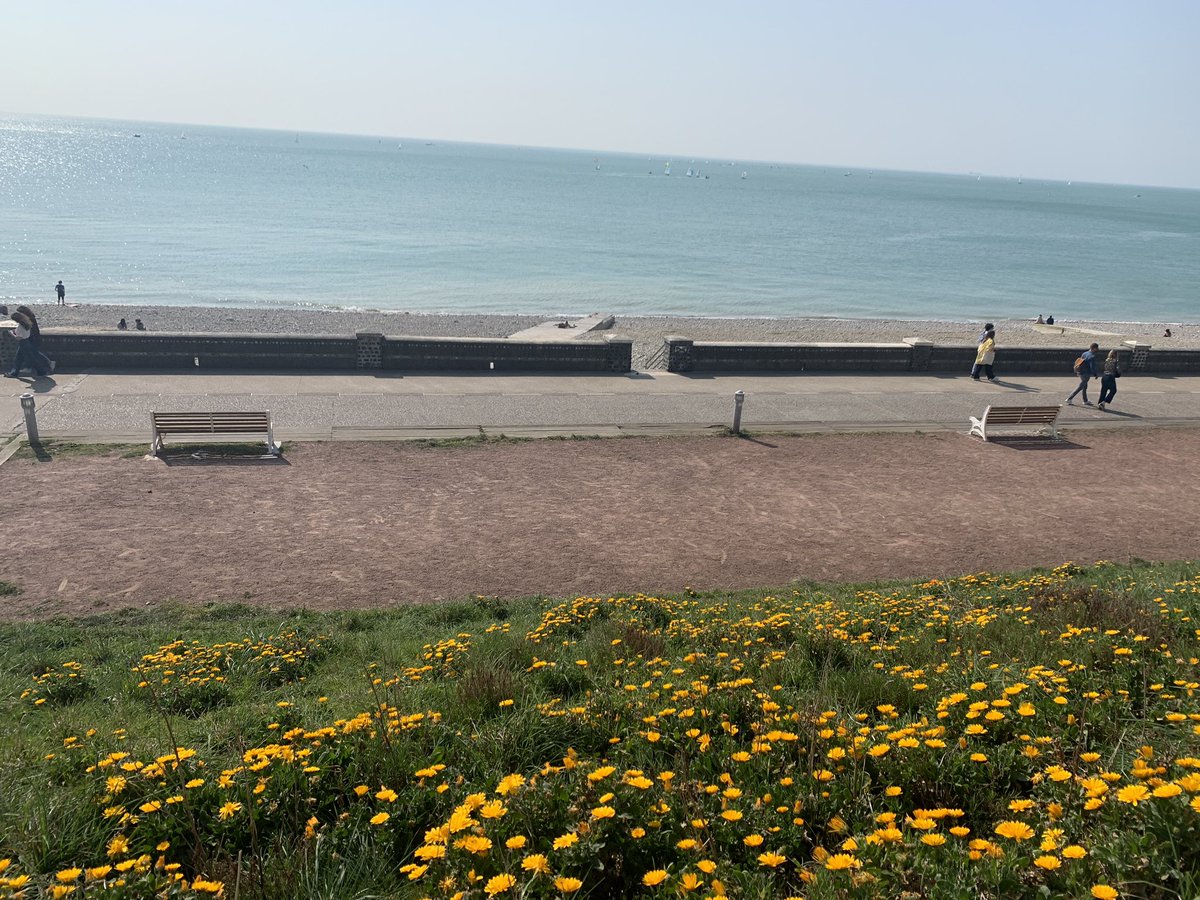 PatriciaLionnet's tweet photo. Le 26 juin ? Non pourquoi ?☀️ Jour d’ouverture des restos de #plage au #havre. Maillots de bain et horizon dégagé avant l’arrivée des cabanes de plage le mois prochain #printemps #normandie #jouroff https://t.co/yu5UFmHtkY
