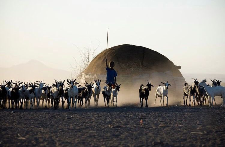 Sunset is a special time of day in the Samburu savannah, where silence slowly makes way for the resting of the wild and all those who call it home.

Wishing you a beautiful evening..