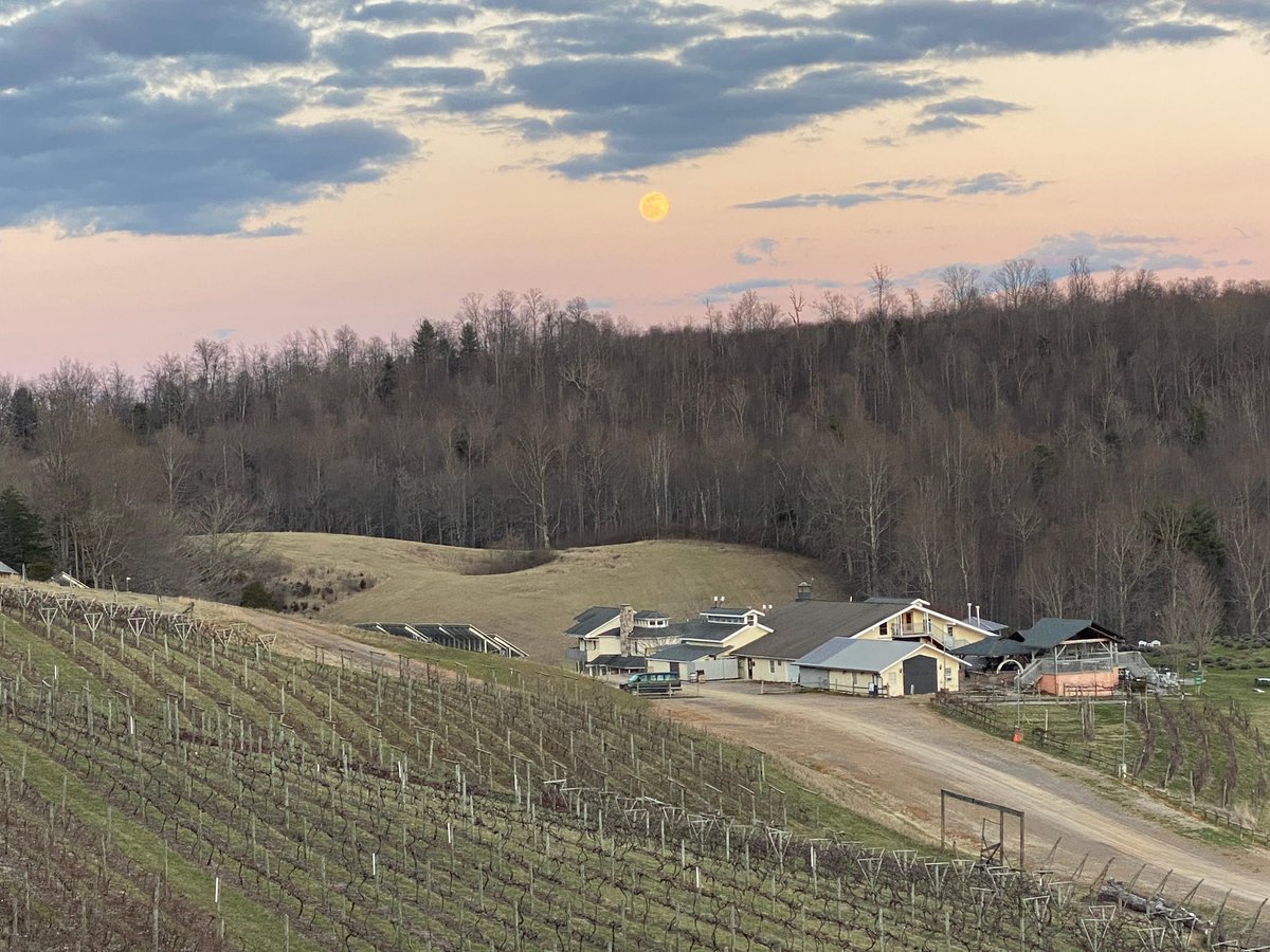 BeliveauFarm's tweet photo. Look at this beautiful moon over the freshly pruned vineyard! #beliveaufarm #gotomontva #visitvbr #blueridgeday #vineyards https://t.co/NFwM2whR4m