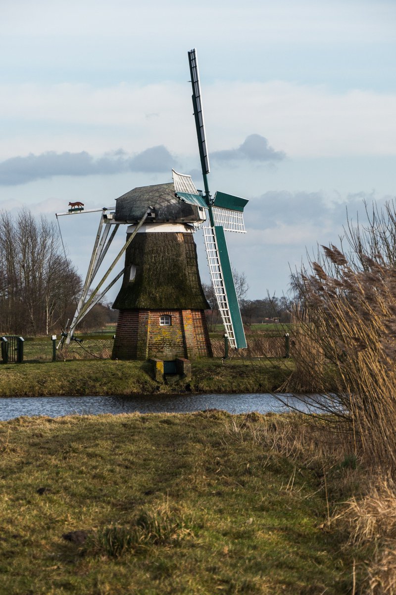 foto_ihlow's tweet photo. Die Mühle in Bedeskaspel, Ostfriesland.  Foto: Saathoff  #photos #fotografia #fotografie #ostfrieslandfotos #heimat #pictures #kunsthalleemden @EmderZeitung
 #Ostfriesland #nature #Mühlen    websites:   https://t.co/UOdwXcob18 https://t.co/5s6O0Xec4T
