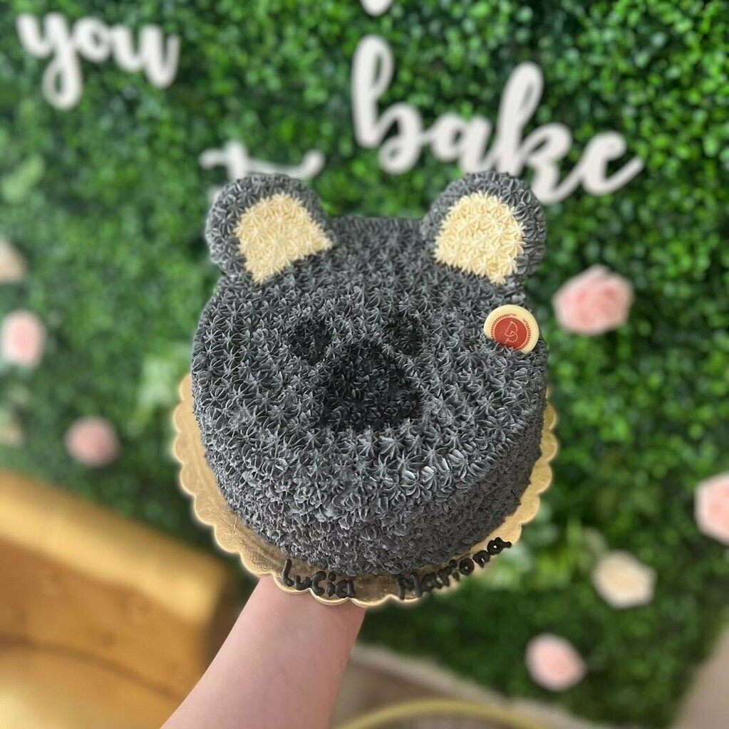 DailyPasteleria's tweet photo. Los pasteles de animales nos encantan 🫶
Este 🐨 CAKE también 😍

Visita nuestra página web 👇
https://t.co/AZgF8uvdVz https://t.co/SIQv7W2Y2x https://t.co/RFdNxsVXvY