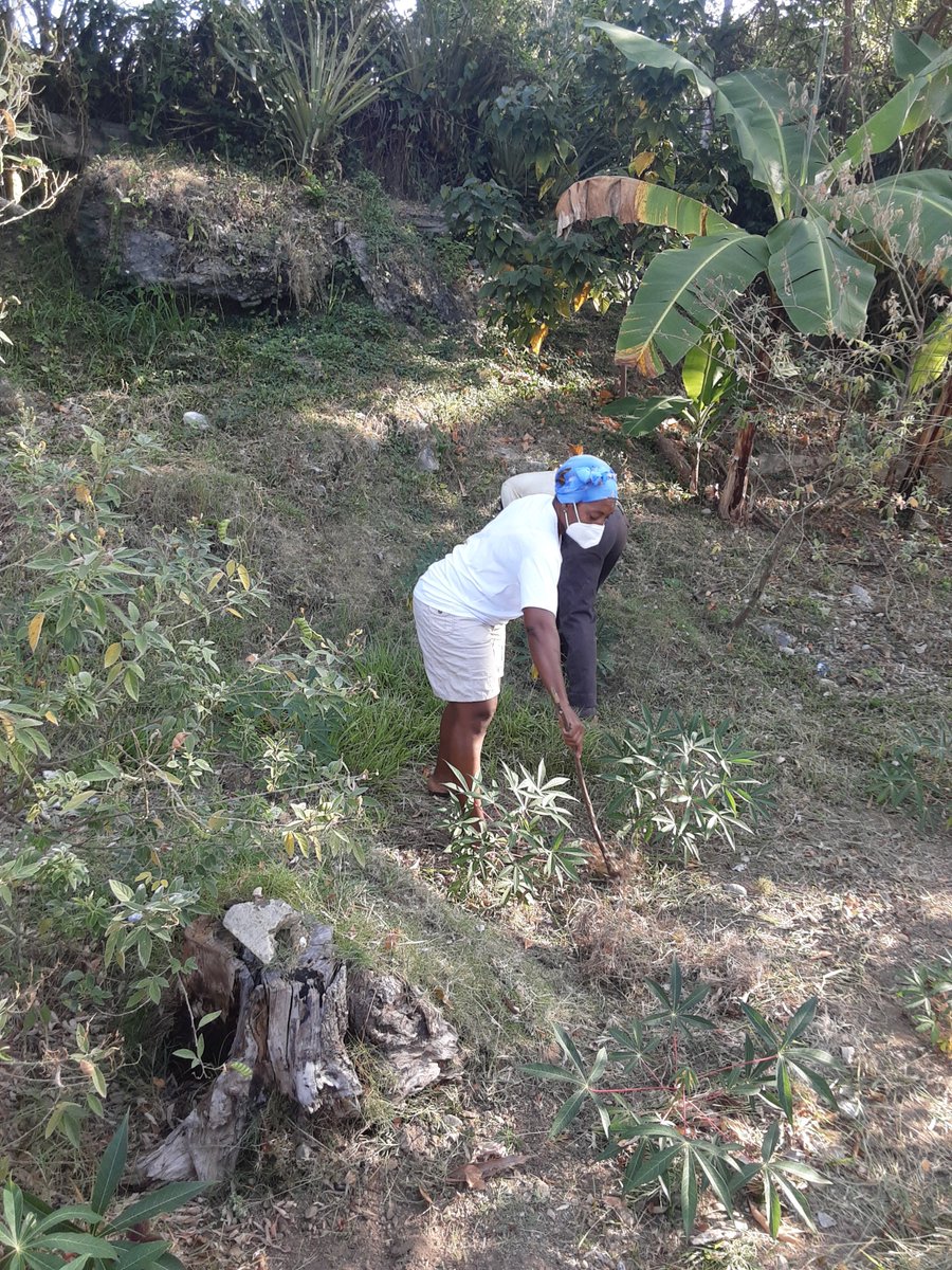 #Cuba #CubaMined #EducaciónGuantánamo #EducaciónBaracoa Trabajadores del centro realizamos jornada voluntaria en saludo al 1ro de Mayo. Somos continuidad <a href="/CubaMined/">MINED</a> <a href="/elsa_ena/">Ena Elsa Velázquez Cobiella</a> <a href="/Educa_Gtmo/">Dgeap Guantánamo Cuba</a> <a href="/maria_laviste/">Raquel Maria Laviste Villafruela</a> <a href="/PresidenciaCuba/">Presidencia Cuba 🇨🇺</a> <a href="/DiazCanelB/">Miguel Díaz-Canel Bermúdez</a>