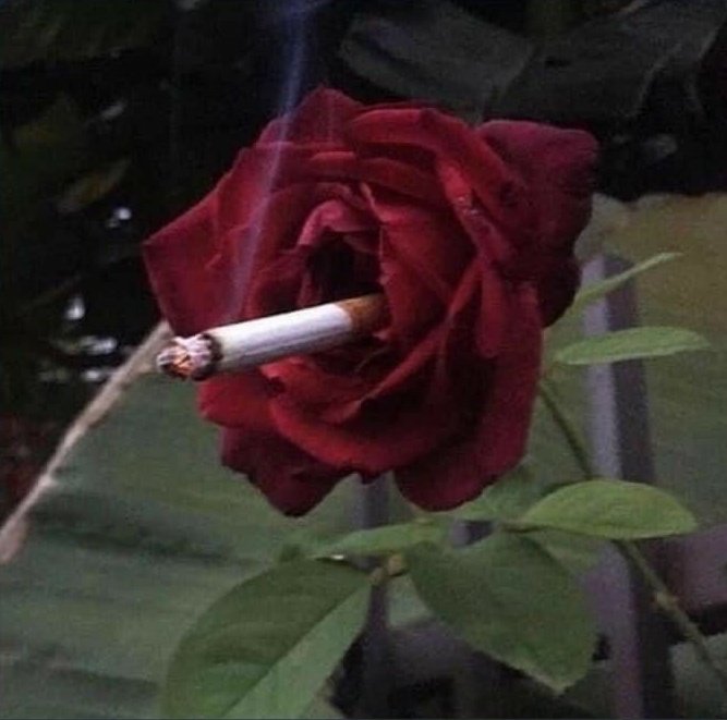 www_polga's tweet photo. as músicas da Lana Del Rey se parecem com isso aqui e eu não sei explicar o porque https://t.co/KjpkWNfucl