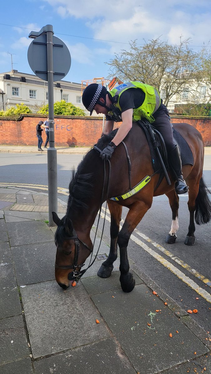 Aannddd #PHJake got it 🤣 @merseymountedpc @MerPolMounted #LFClegends