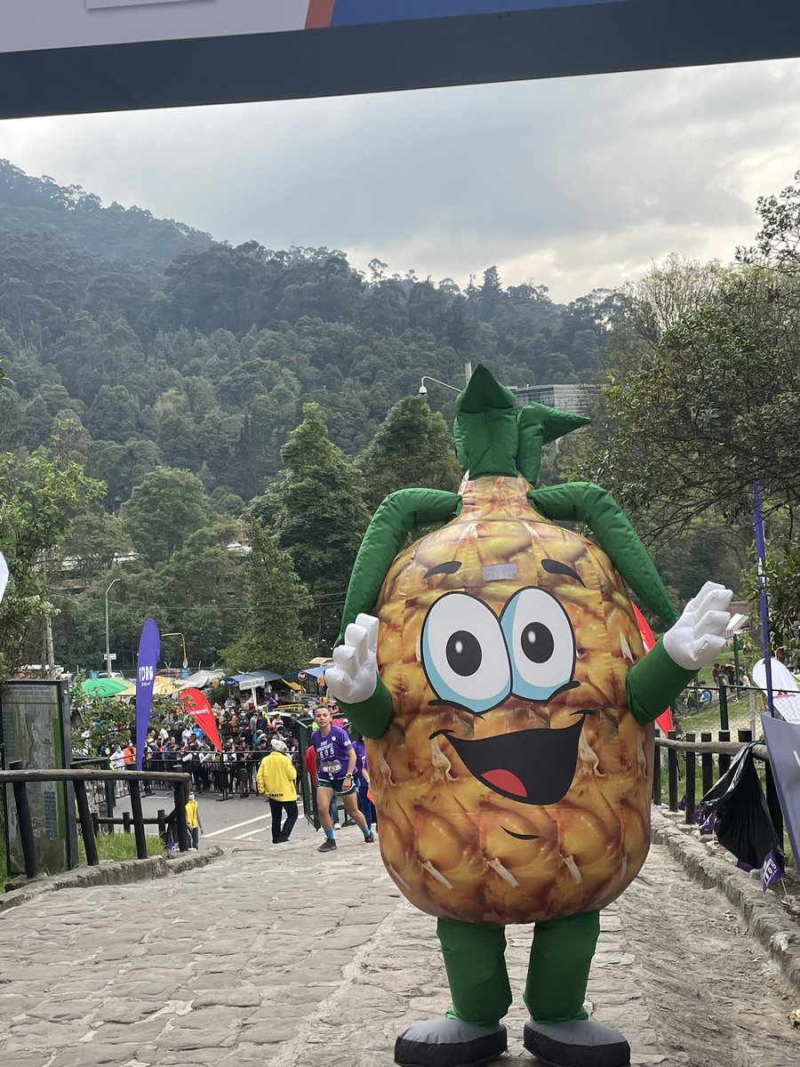 Corporación Colombia Internacional CCI tweet media