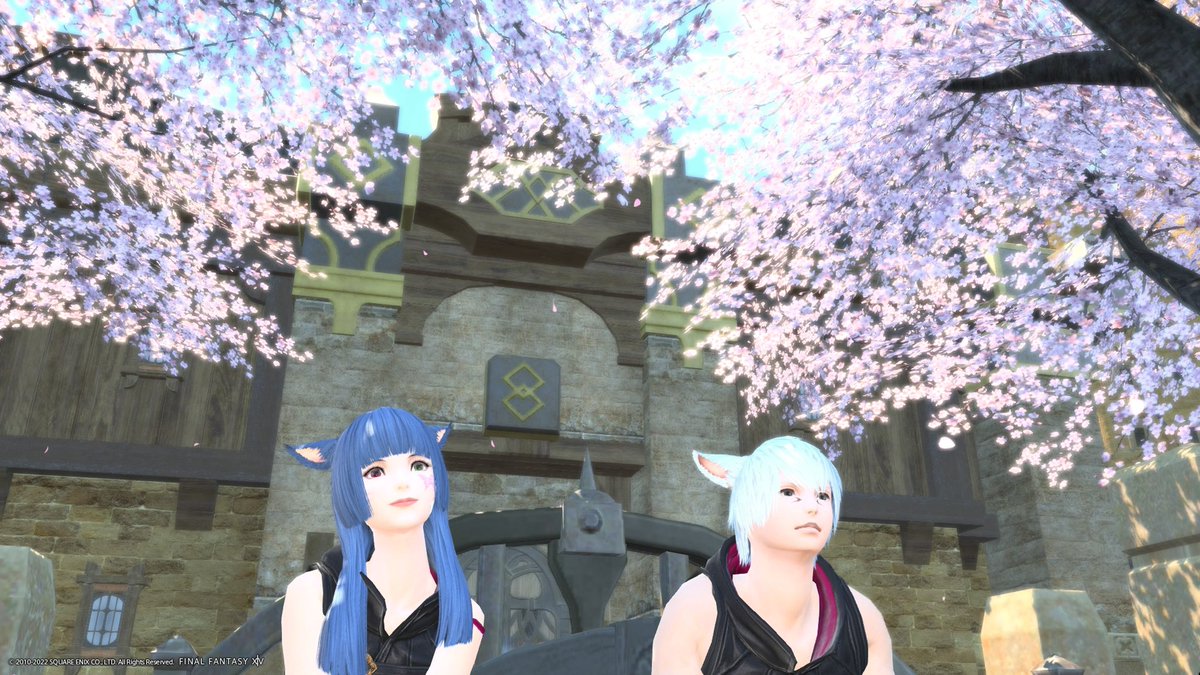 お花見たのしかった〜🌸
桜並木ずっといられる‥