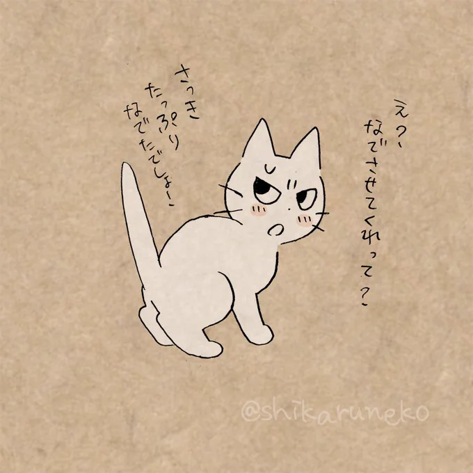 猫にかまいすぎる人を叱ってくれる猫 