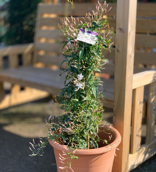 Coblands Garden Centre tweet media