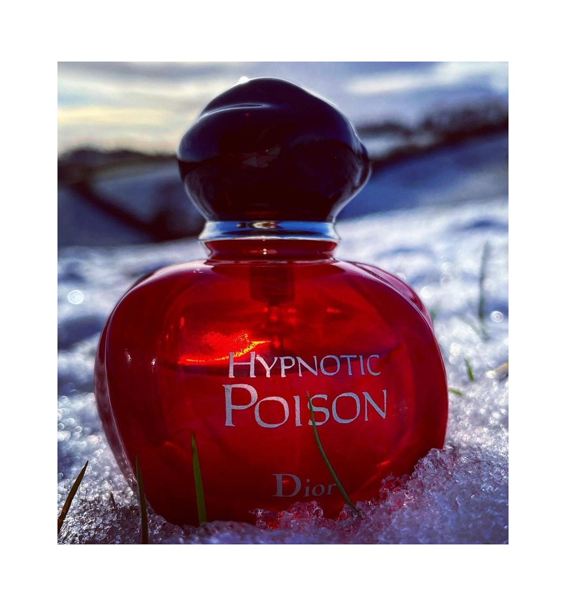 CollectUg's tweet photo. Hypnotic Poison - Dior
100mls EDP @550k https://t.co/9OetLFwqt0