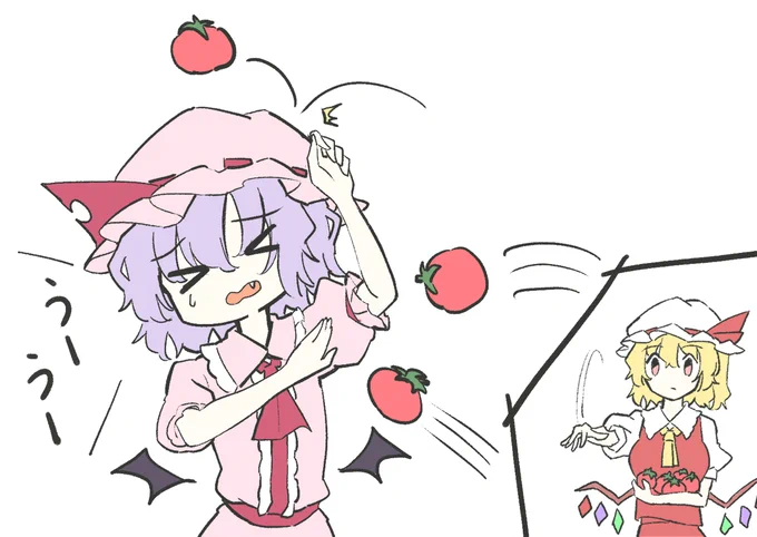 🍅🍅🍅 