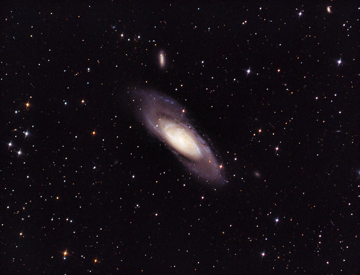 tombardier's tweet photo. #M106, which I'm going to name "The #Megamaser #Galaxy"! Captured in poor transparency and seeing, last night. #Skywatcher #200P #ASI1600MM #EQ6-R Pro #PixInsight https://t.co/NkSJ0tStRz