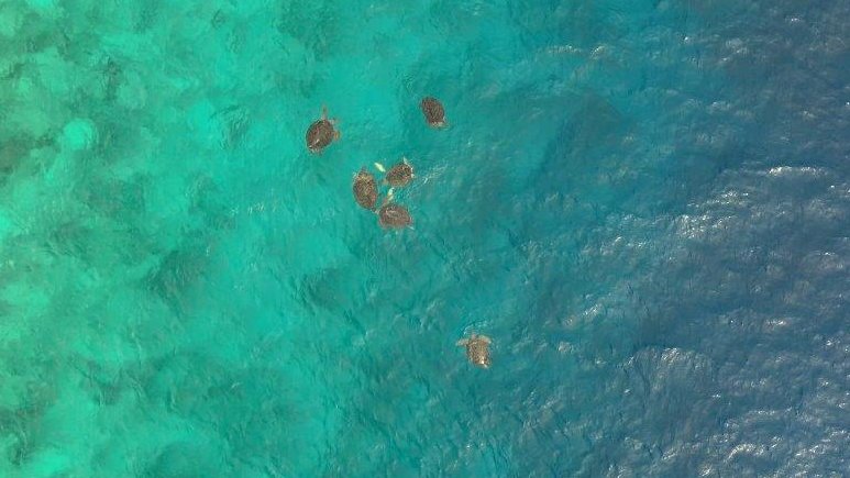 Nicole Esteban tweet media