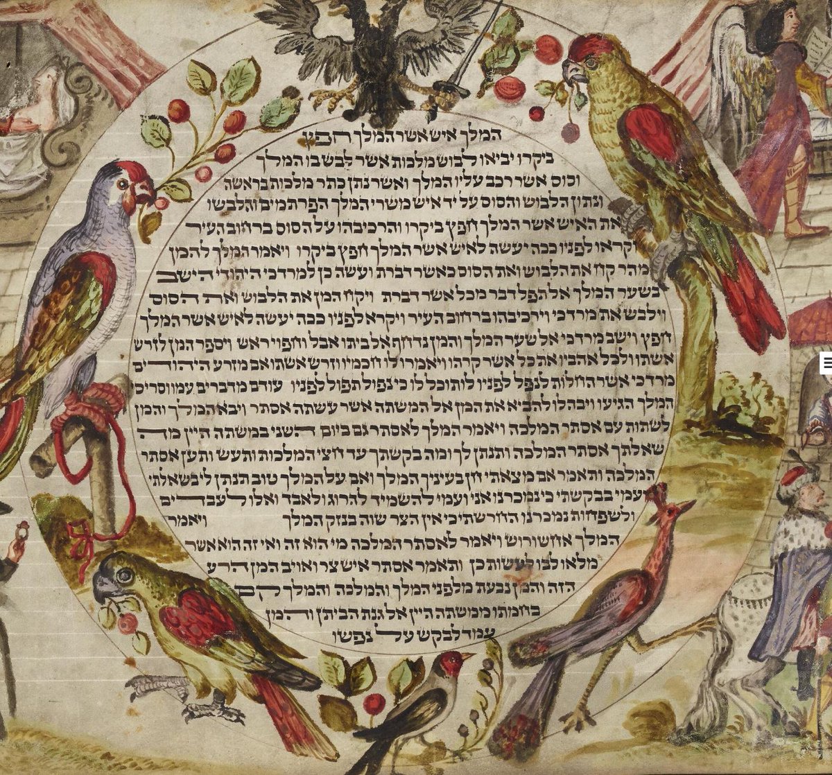 ManMedProject's tweet image. You also find illustrated Esther scrolls among the new items. This one, probably from 18th-century Austria (spot the two-headed eagle!) includes not only biblical illustrations but also the 12 zodiac signs and an array of birds and flowers. digitalcollections.manchester.ac.uk/view/MS-HEBREW…