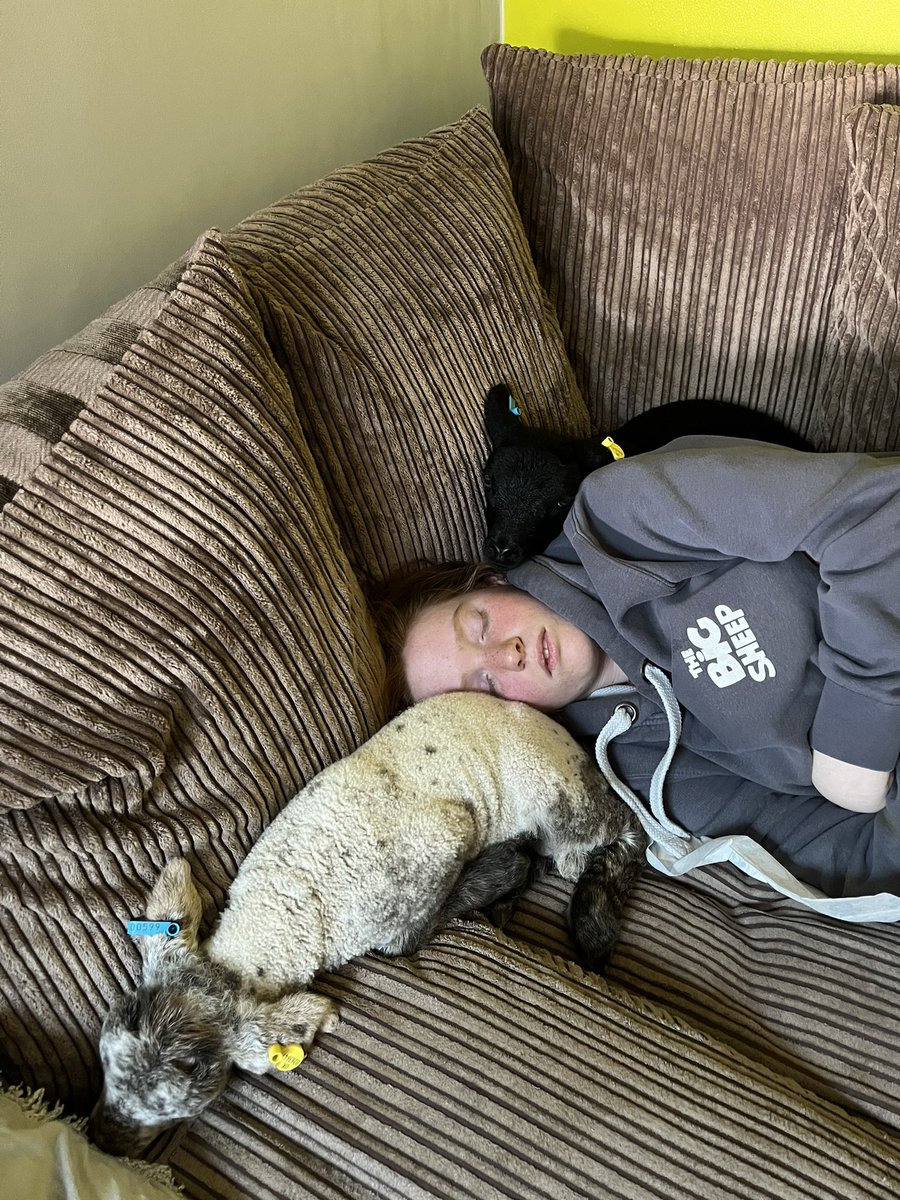 TinaFox44's tweet photo. @AmandaOwen8 Tired daughter after being up bottle feeding two orphaned lambs she brought home from the school farm! https://t.co/nlvZj6K6OO