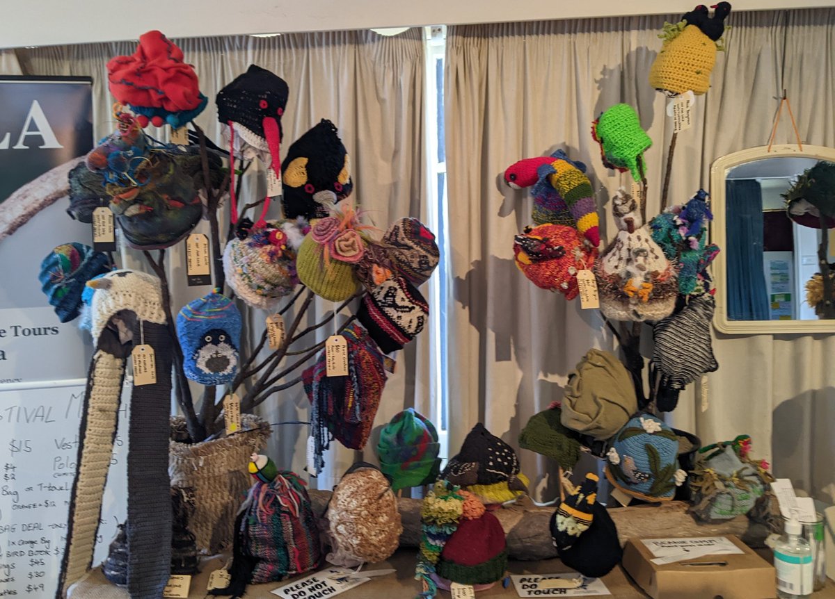 Catherine Young tweet media