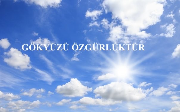ProfSFindik's tweet photo. Kıymetli Mehmet Okan Hoca’yı bu titiz analizinden dolayı (chemtrail ‘in Ukrayna’dan kalkan uçaklar ile oluşması) tebrik ederim. 
İstanbul’da da gökyüzünde benzer görünümler ve çok yoğun ve anormal sis de dikkat çekiciydi. 
Savaşın başlaması ile birlikte gerçek gökyüzüne kavuştuk. https://t.co/qb6majKGZm