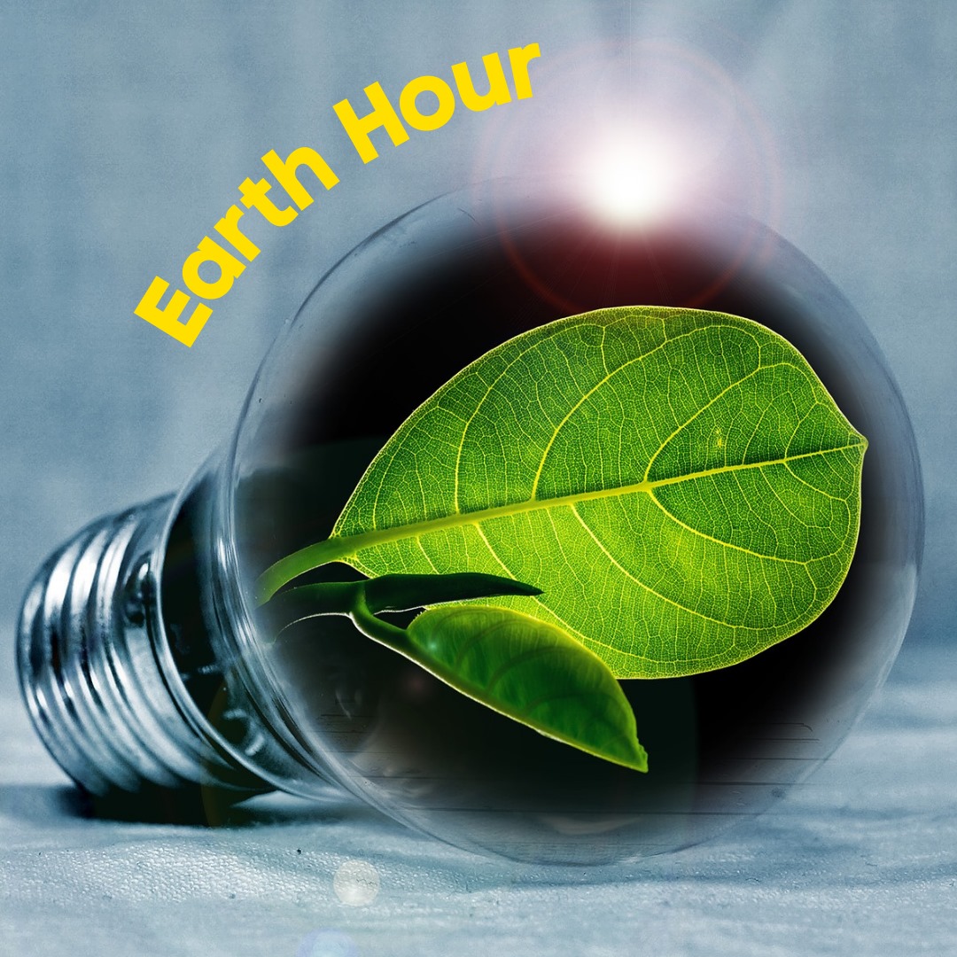 Vandaag om 20.30 uur is het tijd voor Earth Hour. 🌍🕯️ Huishoudens over de hele wereld doen het licht een uur uit om aandacht te vragen voor de kwetsbare natuur. 🌳🌘 Laat jij jouw stem ook op deze manier horen?
#earthhour