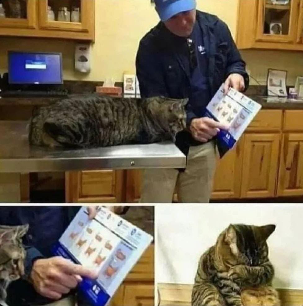 Veteriner nazik bi dille fazla kilolu olduğunu anlatıyor..