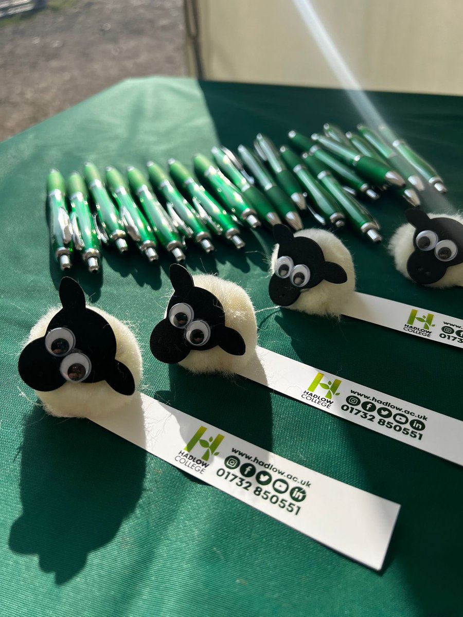 Our Lambing Weekend is in full swing! 🥳