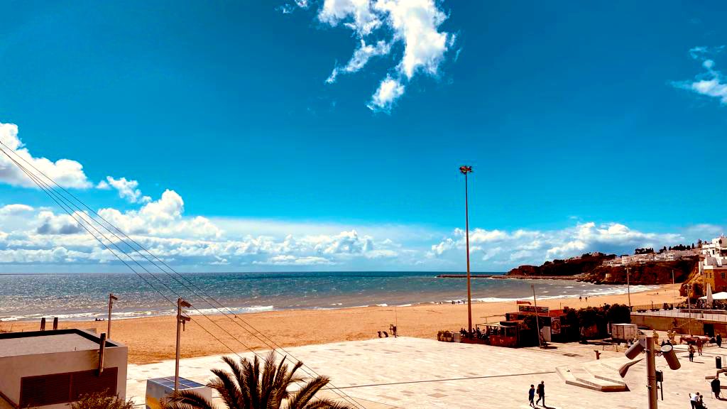 Les Kelly Photography tweet media