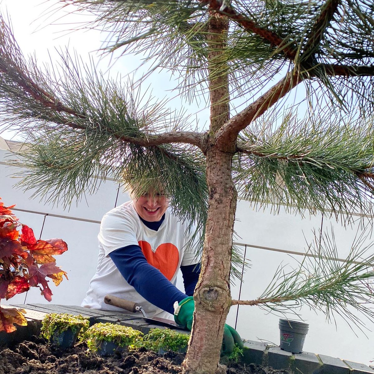 CW_Studio's tweet photo. We volunteered ourselves for a day of planting at the @RMHCUK Manchester House for their new Garden of Reflection, and what a joyful sunny day it was with @BartonGrange_GC and donuts!
#GardenOfReflection #RoofTerraceGarden #Donuts https://t.co/NHWfpTo9HJ