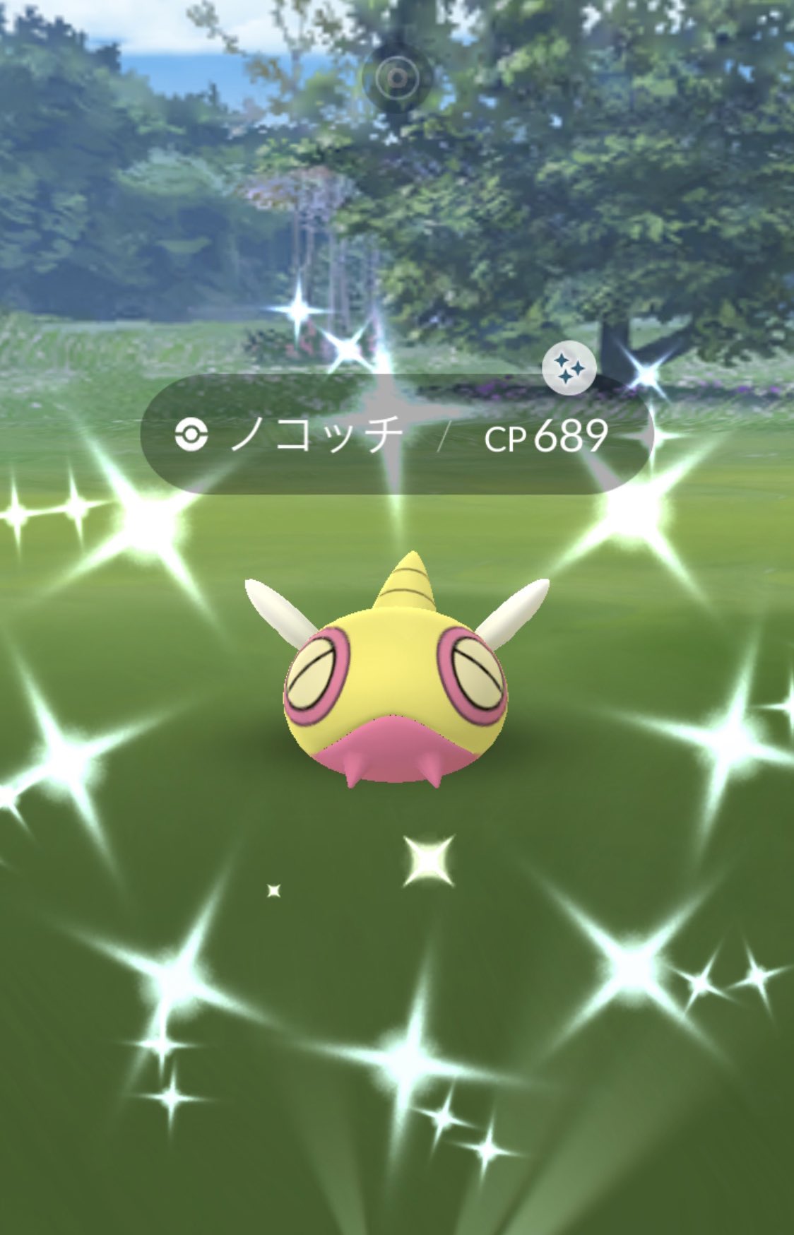 𝑅 Pokemon R Twitter