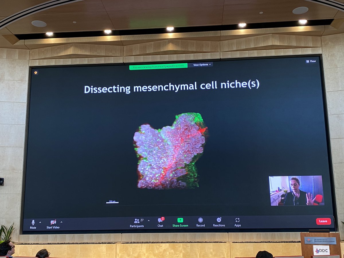 HyserLab's tweet photo. First speaker Dr. Francesca Spagnoli is wowing the audience with spectacular light sheet images of pancreatic development. #TMCDDC https://t.co/i5JqarmYvq