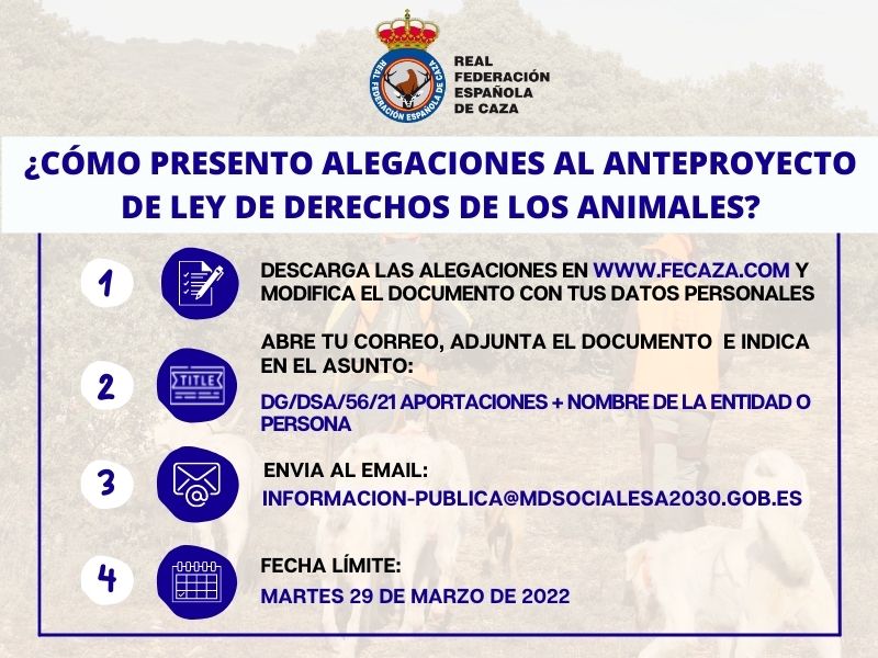 💪 ¡Ayúdanos a tumbar la sectaria y animalista Ley de Derechos de los Animales que pretende acabar con las rehalas, los perros de caza, las aves de cetrería o el silvestrismo!

📄 Descarga las alegaciones: bit.ly/36Lw4nl

⬇️ Sigue las instrucciones ⬇️

#SíALaCaza