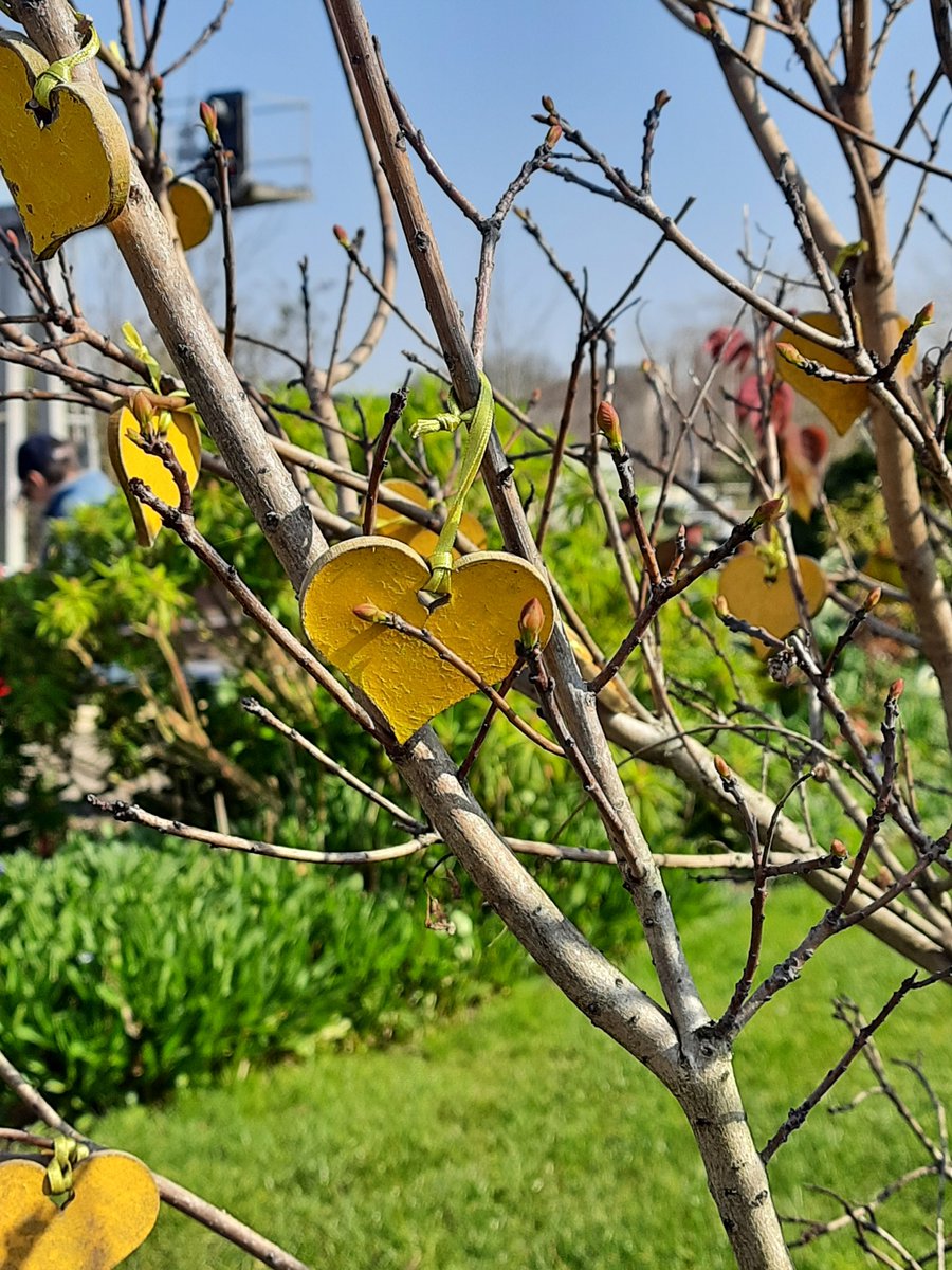 HeartCRP's tweet photo. 2nd day of Creative Platforms with Katie Jones and @emilykayedraws First stop #Leamington Station and the glorious gardens maintained by the Friends of Leamington Station.
Couldn't have asked for better weather!
#communityrail @chilternrailway https://t.co/G7NlppgK8f