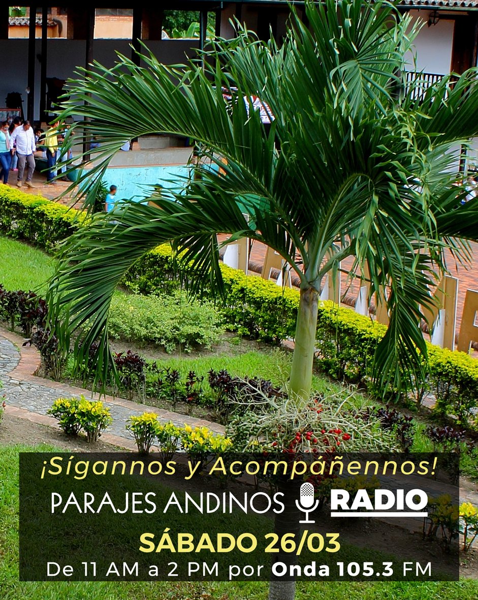 Parajes Andinos tweet media
